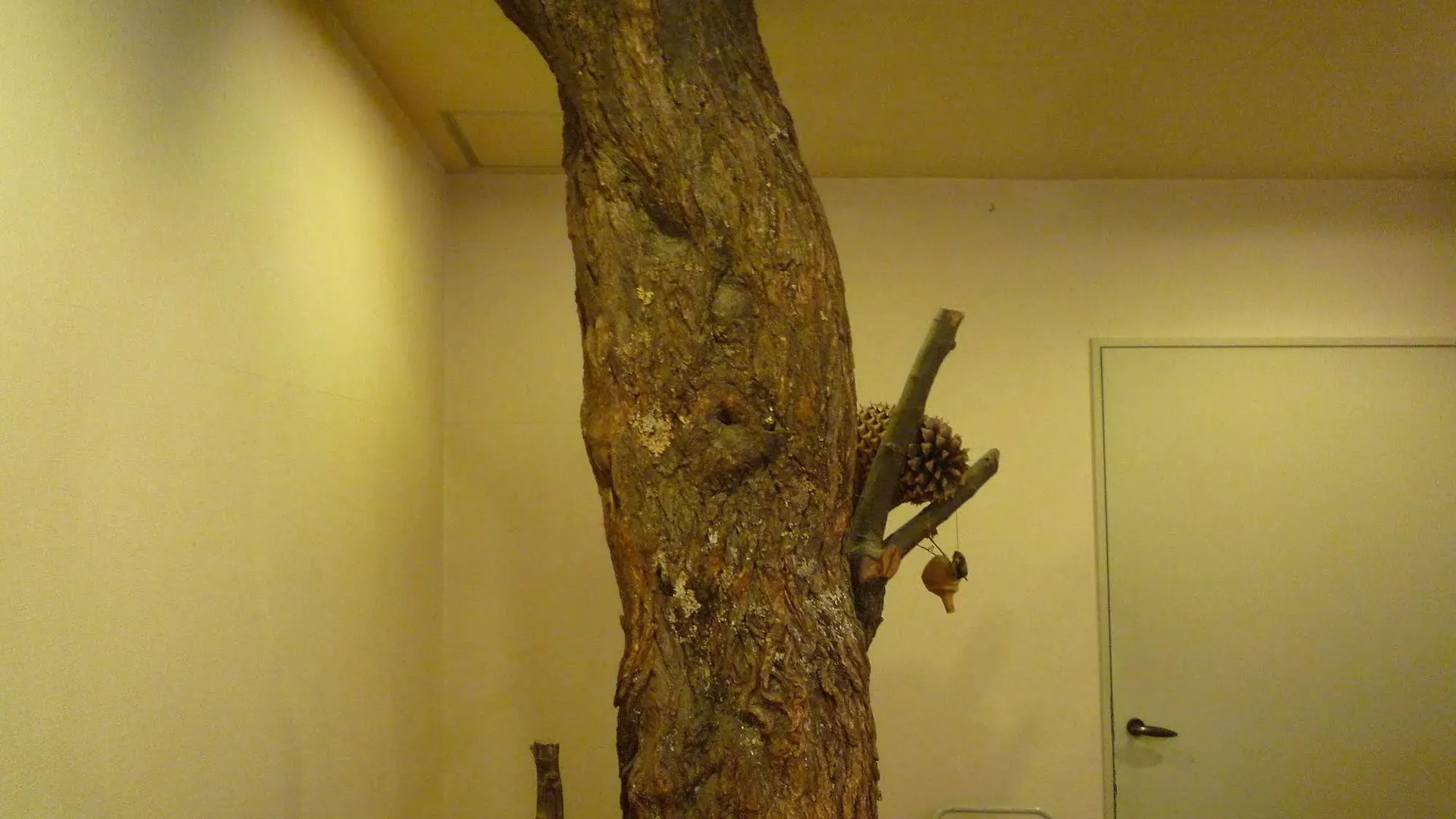 Ryokan Sensyoen Asahikawa