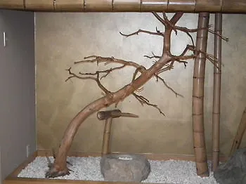 Ryokan Sensyoen Asahikawa Hotel